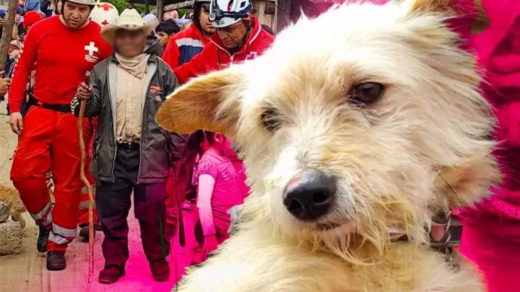 Adulto mayor se pierde, su perro “Chivito” lo guía de regreso a casa en Acajete, Puebla