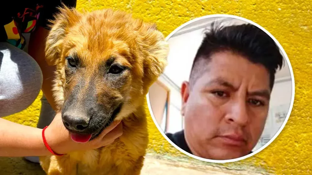 “Oscarín” adoptó a “Miel” en Puebla y ahora se desconoce su paradero; internautas la reclaman