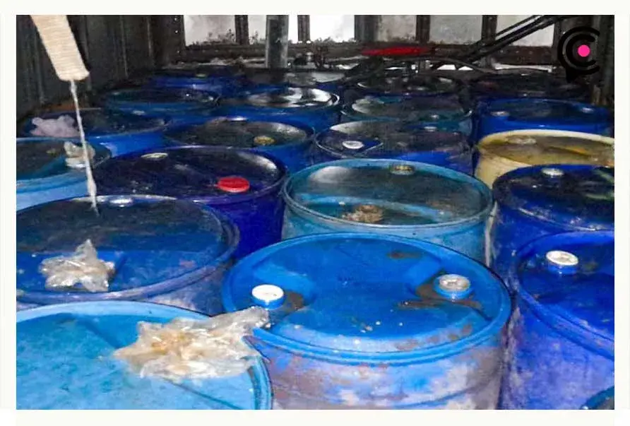 Marina y SSP recuperan más de 3 mil litros de hidrocarburo en Chignahuapan