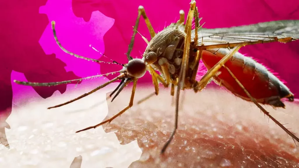 En 2023, los casos de dengue en Puebla aumentaron en más de un 1800%