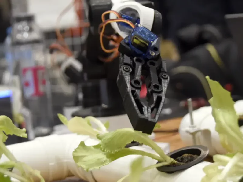 Feria de Proyectos, espacio de encuentro de la innovación y el talento