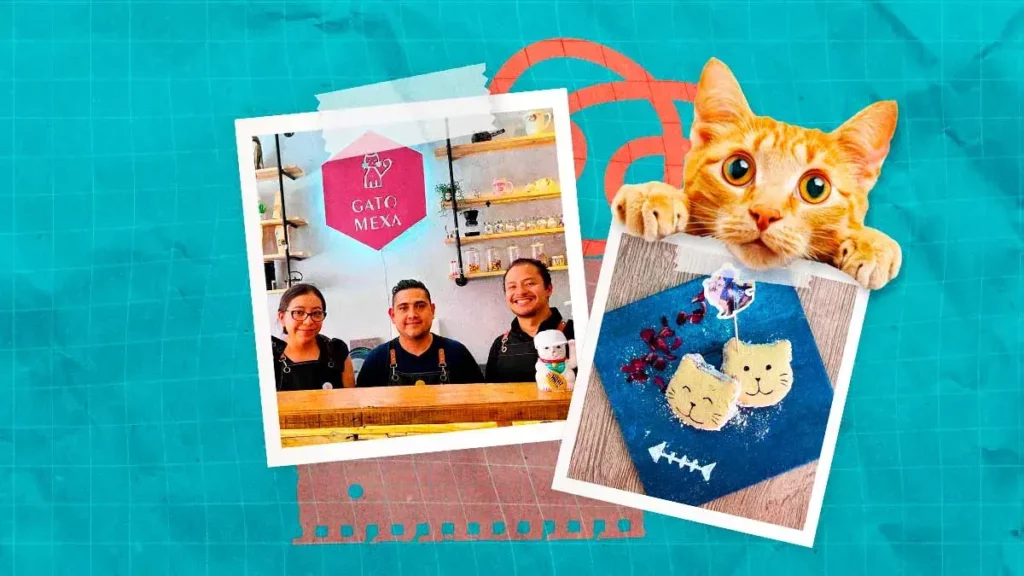 Conoce Gato Mexa, la única cafetería con temática felina en Puebla
