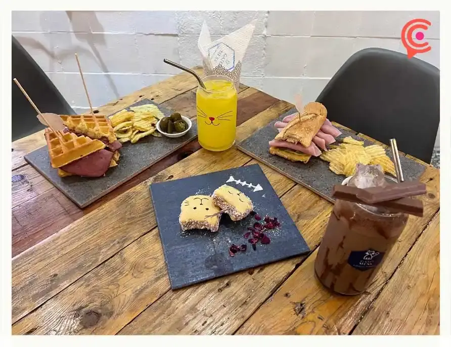 Conoce Gato Mexa, la única cafetería con temática felina en Puebla