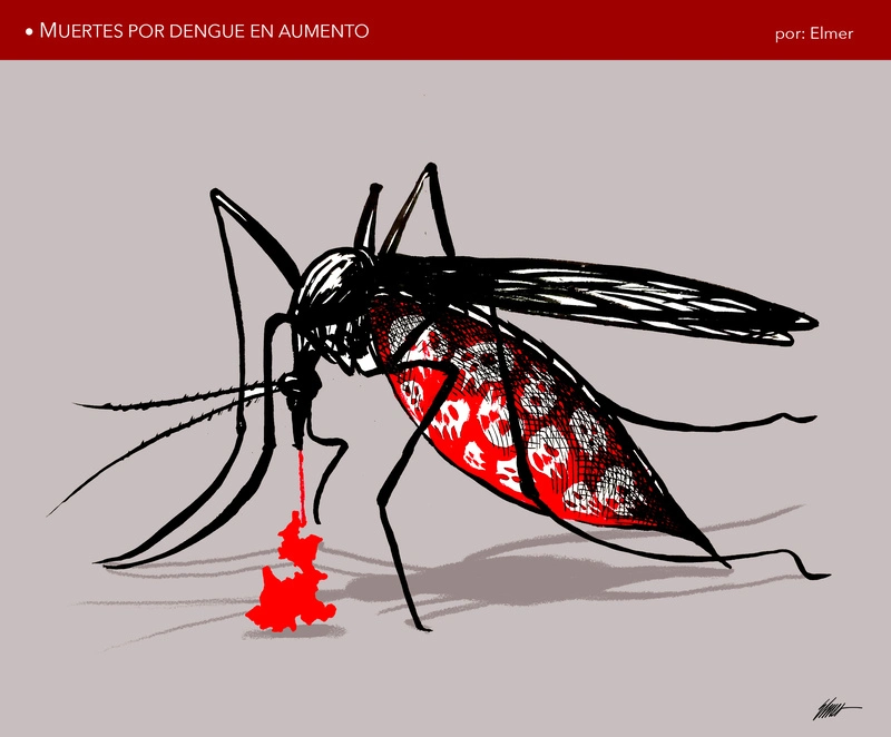 MUERTES POR DENGUE