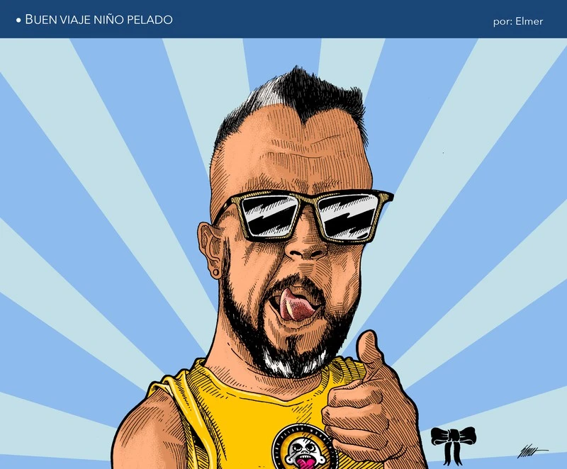 BUEN VIAJE PELADO
