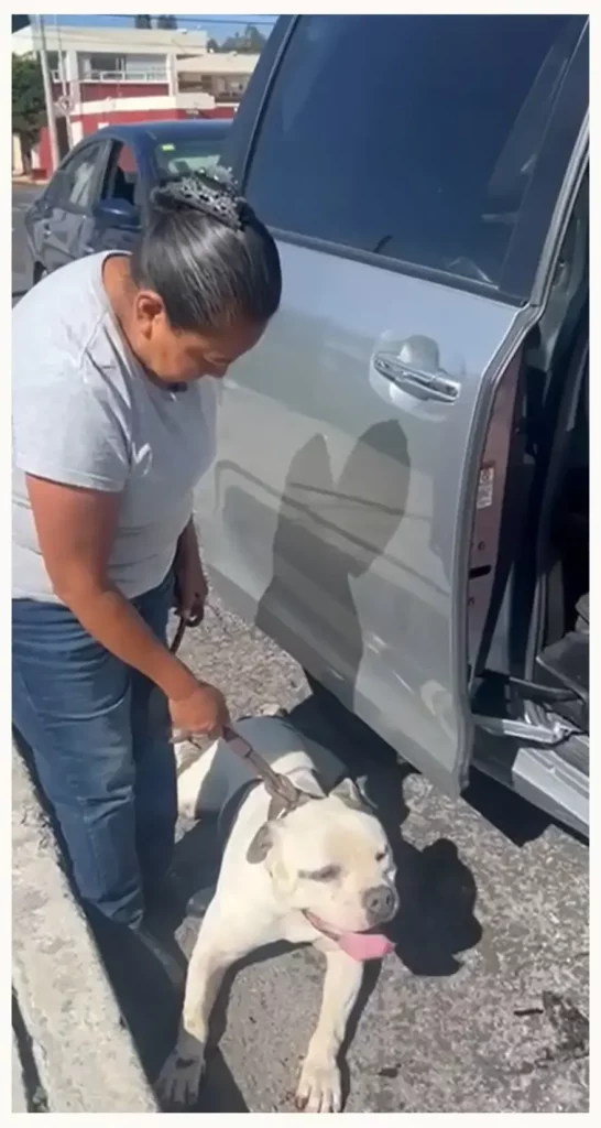 Captan a mujer arrastrando a un perro con su auto en Valle Dorado, Puebla