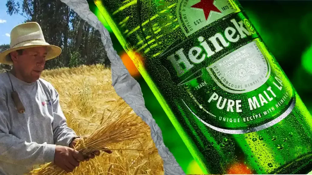 Productores de cebada y Grupo Heineken llegan a un acuerdo en Puebla