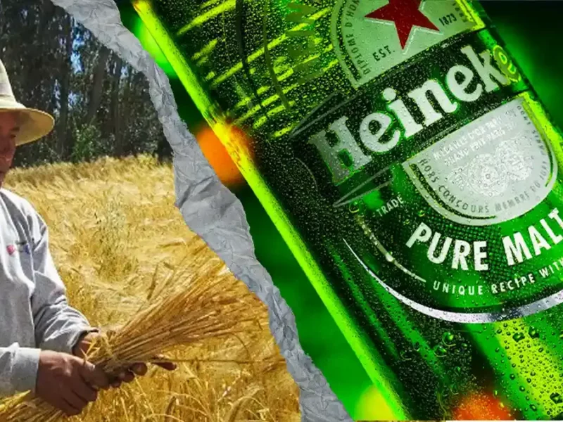 Productores de cebada y Grupo Heineken llegan a un acuerdo en Puebla