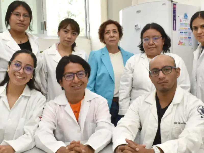Extractos de pápalo y pipicha inhiben crecimiento de bacterias patógenas