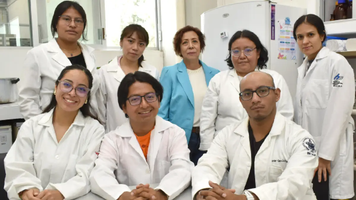 Extractos de pápalo y pipicha inhiben crecimiento de bacterias patógenas