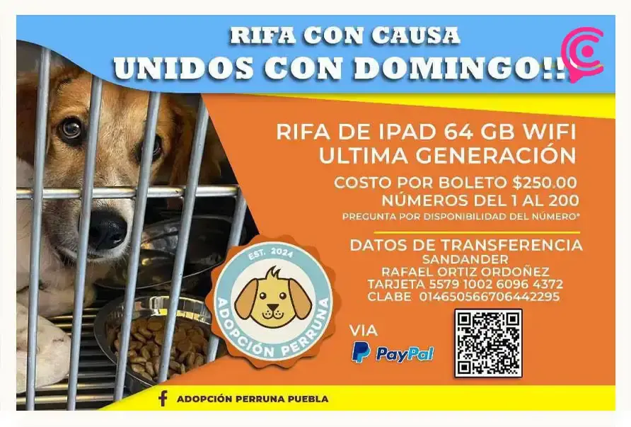 Grupo “Adopción Perruna Puebla” organiza rifa con causa para pagar operación de un cachorro 