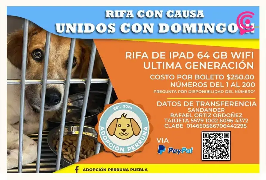 Fundación “Adopción Perruna” busca fomentar el Bienestar Animal en Puebla