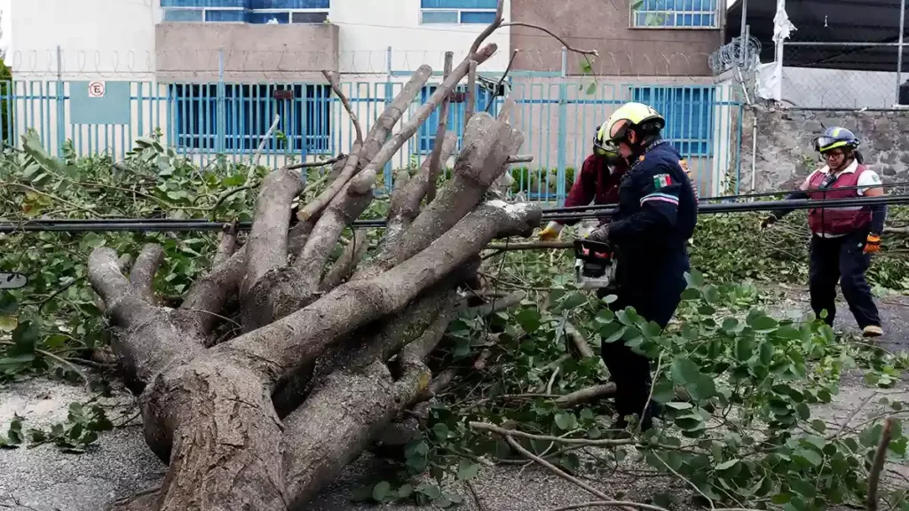 Fuertes vientos provocaron la caída de árboles y postes en Puebla capital