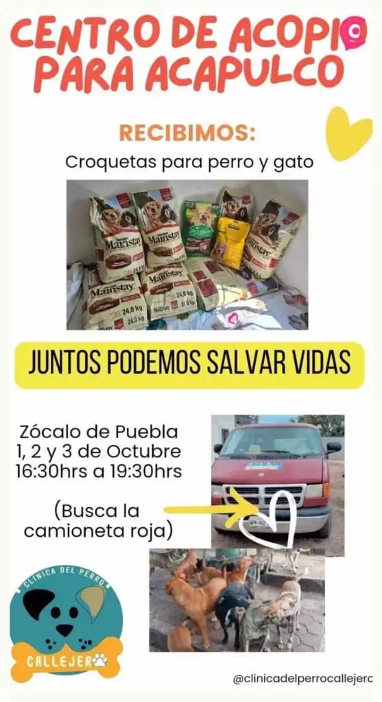 Organizan colecta en Puebla para perros y gatos afectados por huracán John en Acapulco 