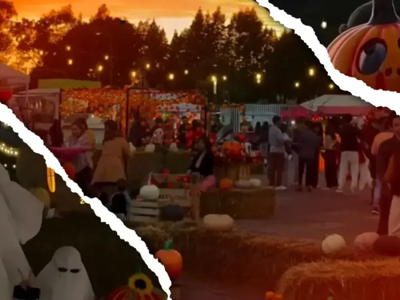 Pumpkin Zone regresa este 2024 a Puebla con experiencias para Halloween y Día de Muertos