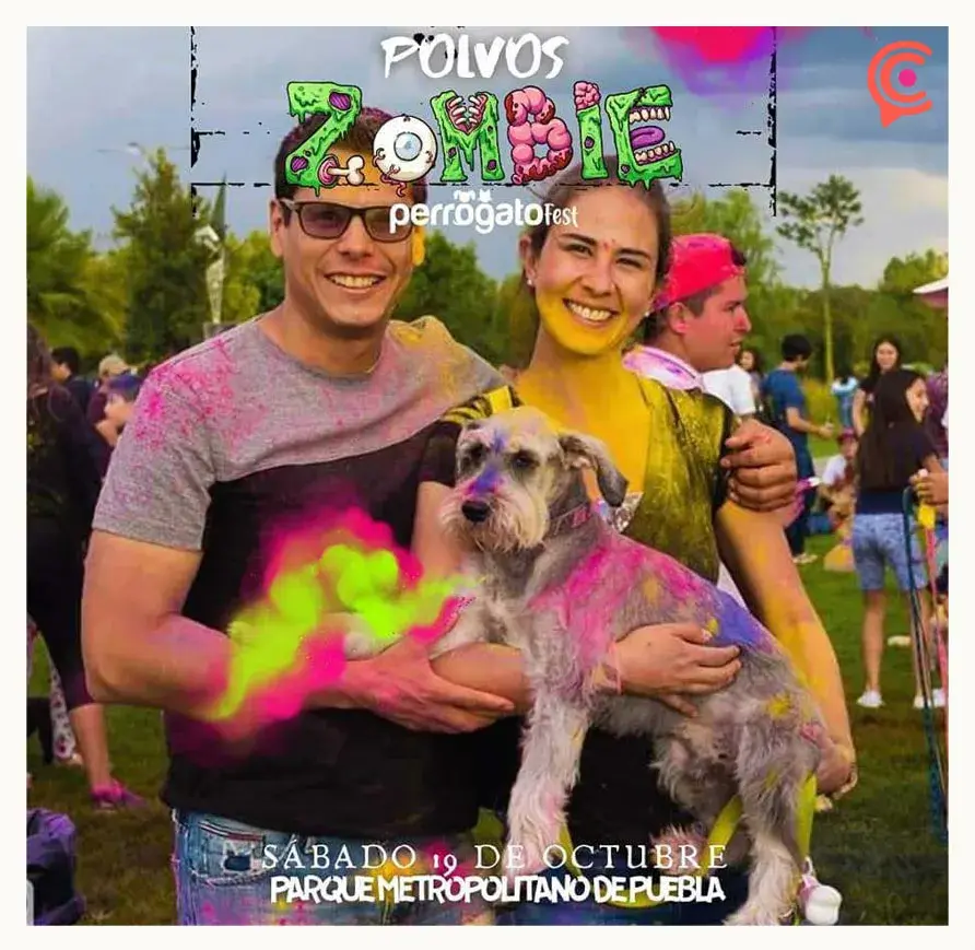 Perrogato Fest organiza fiesta de Halloween para mascotas; checa las actividades  