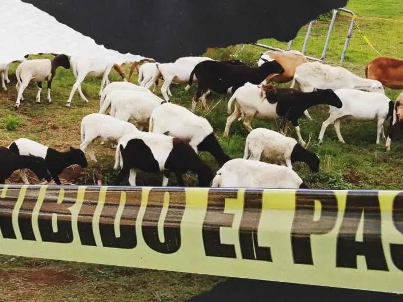 Pastor encuentra cuerpo embolsado en San José El Rincón, Puebla