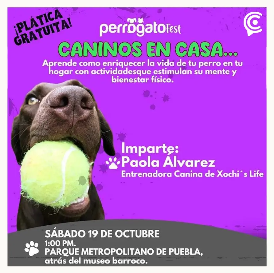 Exposición de Mafalda y más actividades del 14 al 20 de octubre en Puebla 