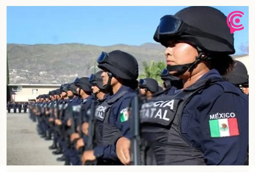 Voluntad política: la principal arma contra el crimen