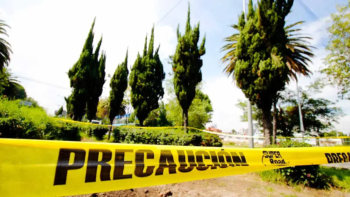 Más de dos mil árboles representan riesgo, Ayuntamiento de Puebla deberá derribarlos 