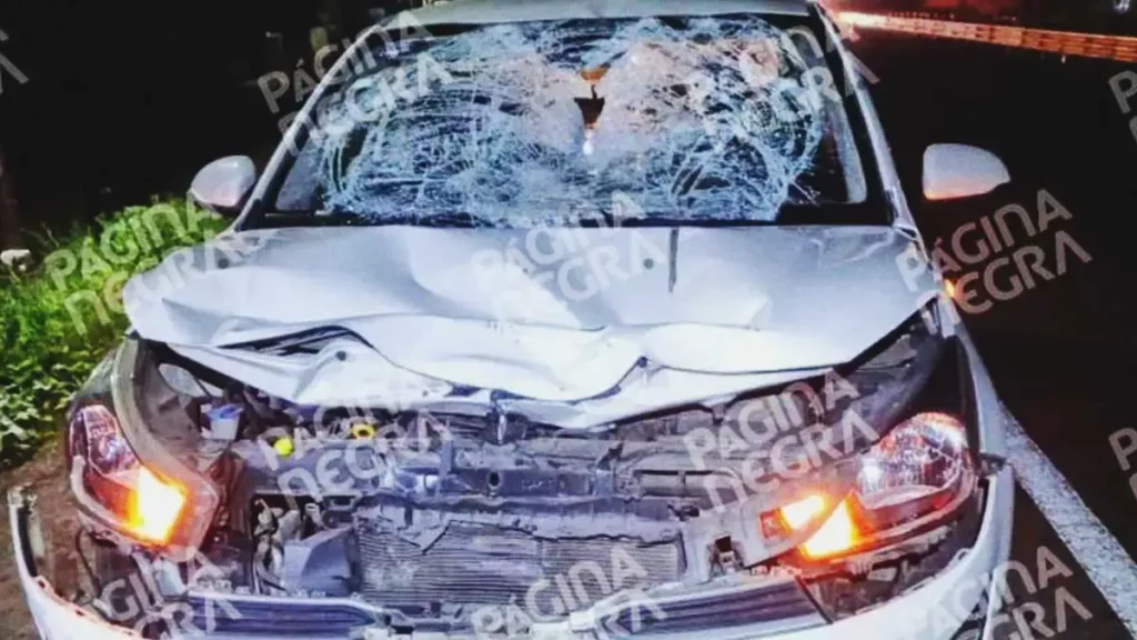 Hombre murió atropellado sobre la autopista Puebla-Orizaba, en Palmar de Bravo; el responsable está detenido