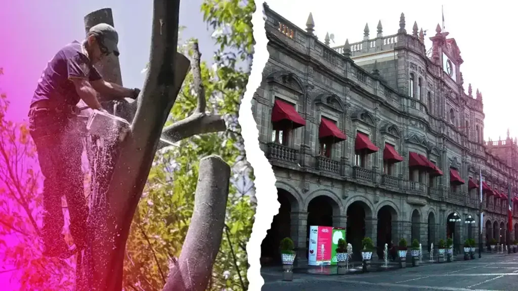 Activistas realizarán protesta por el derribo de árboles anunciado por el Ayuntamiento de Puebla