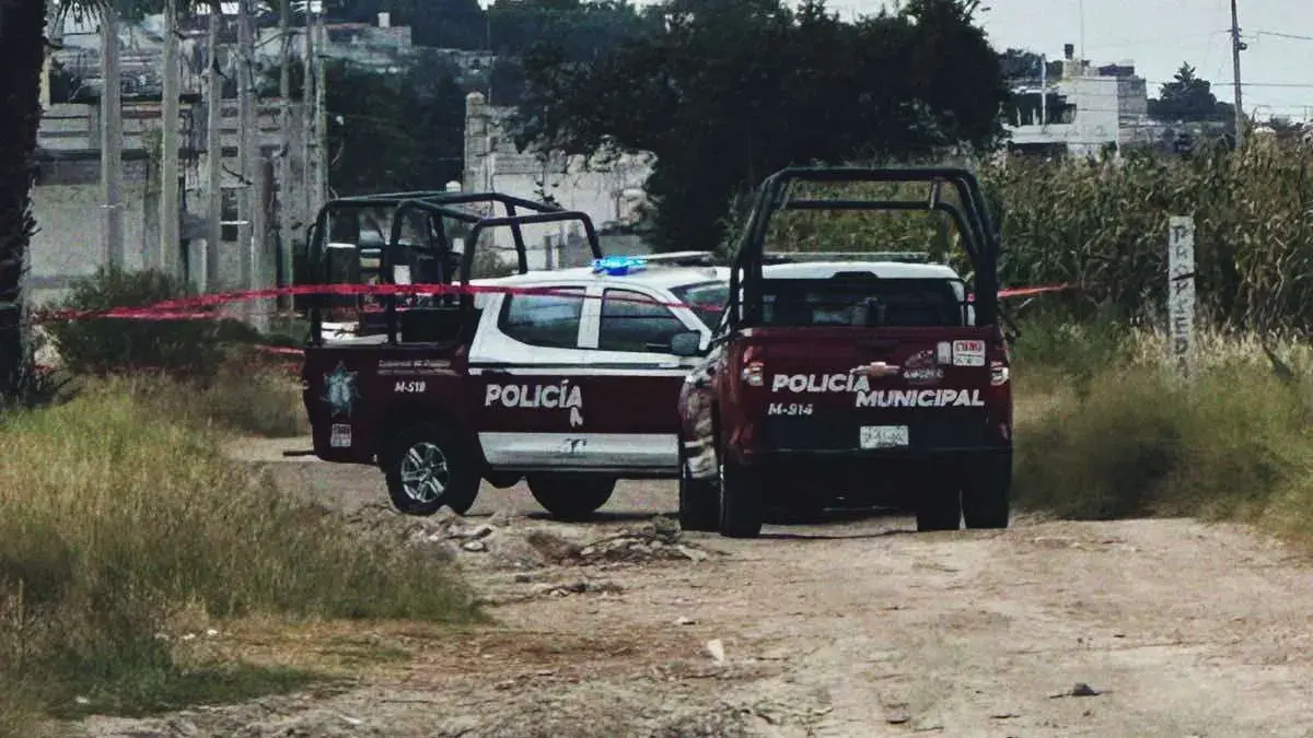 Levantan a padre e hijo y localizan sus cuerpos desmembrados en Amozoc 