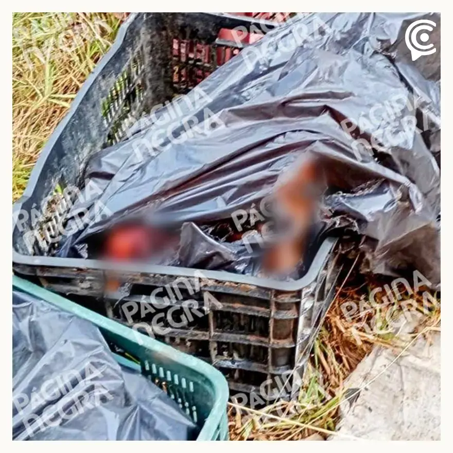 Levantan a padre e hijo y localizan sus cuerpos desmembrados en Amozoc 