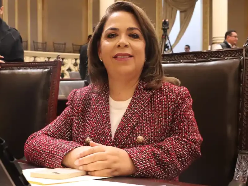 Promueven en Congreso ejercicio efectivo de derechos de personas con discapacidad y adultos mayores