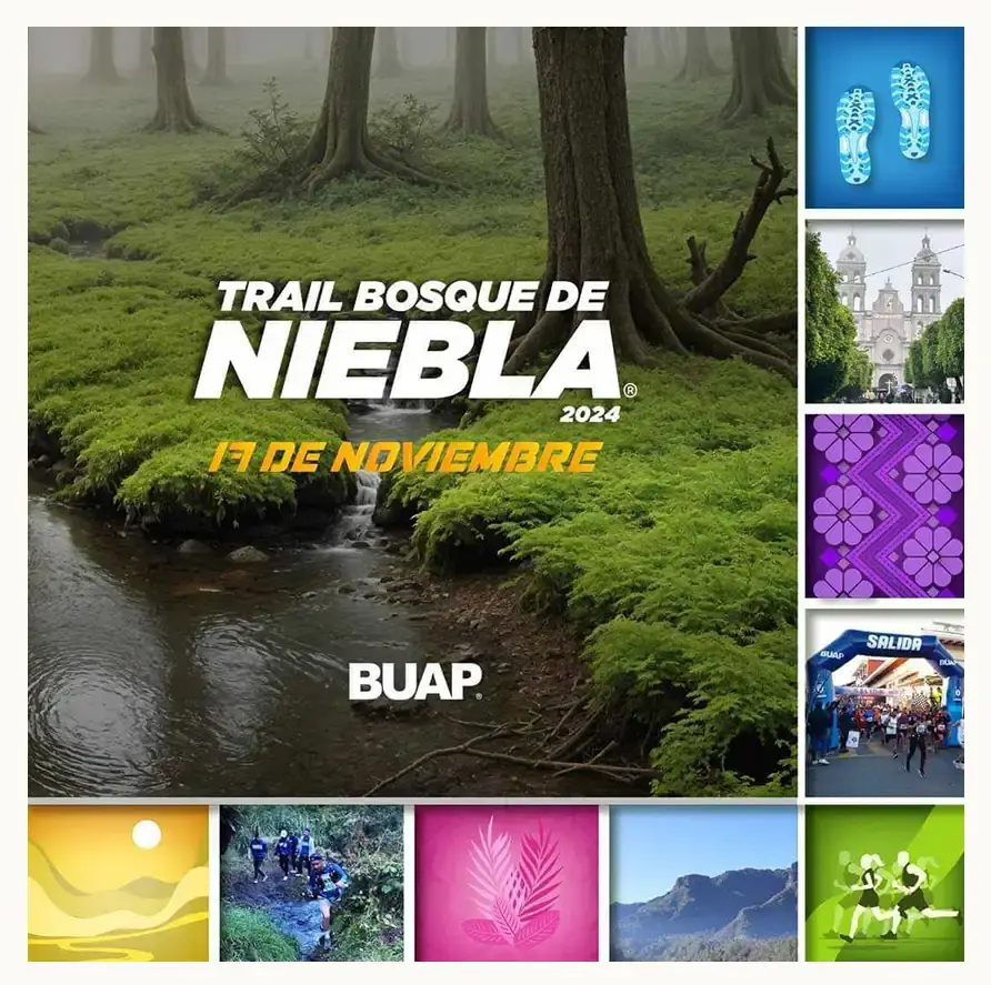 Recorre Teziutlán en la tercera edición del Trail Bosque de Niebla BUAP 2024