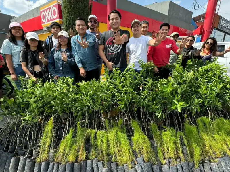 Sembremos Esperanza: más de 3,000 árboles se distribuyen en Puebla bajo la iniciativa de Alejandro Armenta