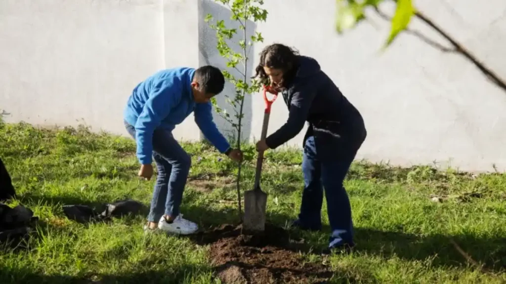 Lupita Cuautle arranca jornada de reforestación