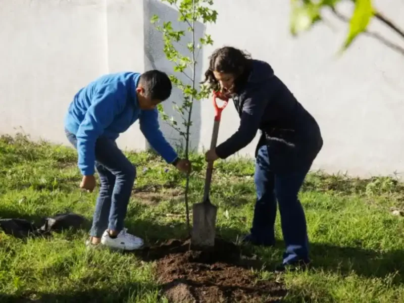 Lupita Cuautle arranca jornada de reforestación