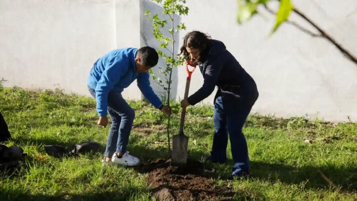 Lupita Cuautle arranca jornada de reforestación