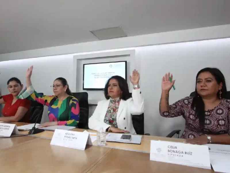 Presentan plan de trabajo del Comité de Diario de Debates, Crónica Legislativa y Asuntos Editoriales
