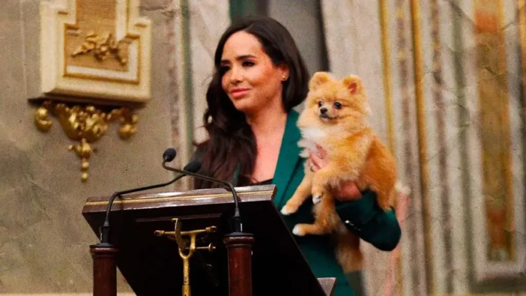 Diputada Grace Palomares presenta iniciativa sobre custodia de mascotas tras divorcios en Puebla