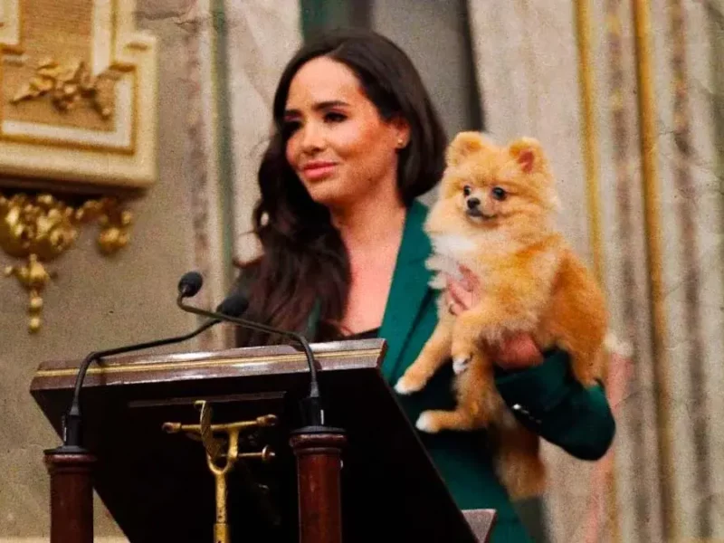 Diputada Grace Palomares presenta iniciativa sobre custodia de mascotas tras divorcios en Puebla
