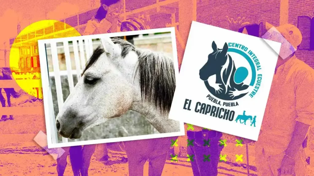 Centro Ecuestre “El Capricho” en Puebla invita a su cena de gala con causa