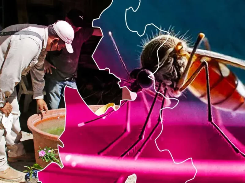 Puebla acumula cuatro mil 332 casos de dengue hasta noviembre 2024 