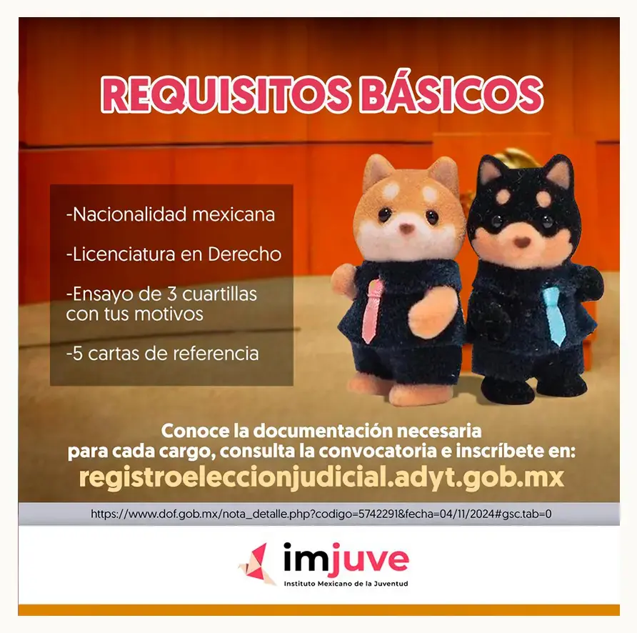 Con ternurines, Gobierno de México convoca a graduados de Derecho a postularse al Poder Judicial