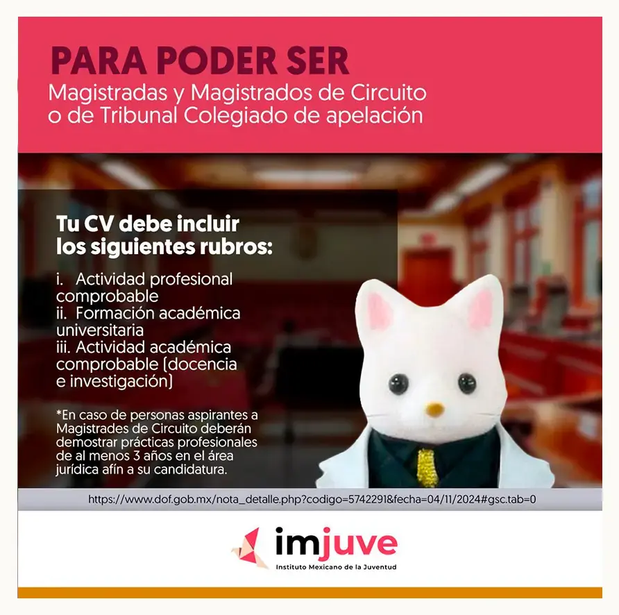 Con ternurines, Gobierno de México convoca a graduados de Derecho a postularse al Poder Judicial