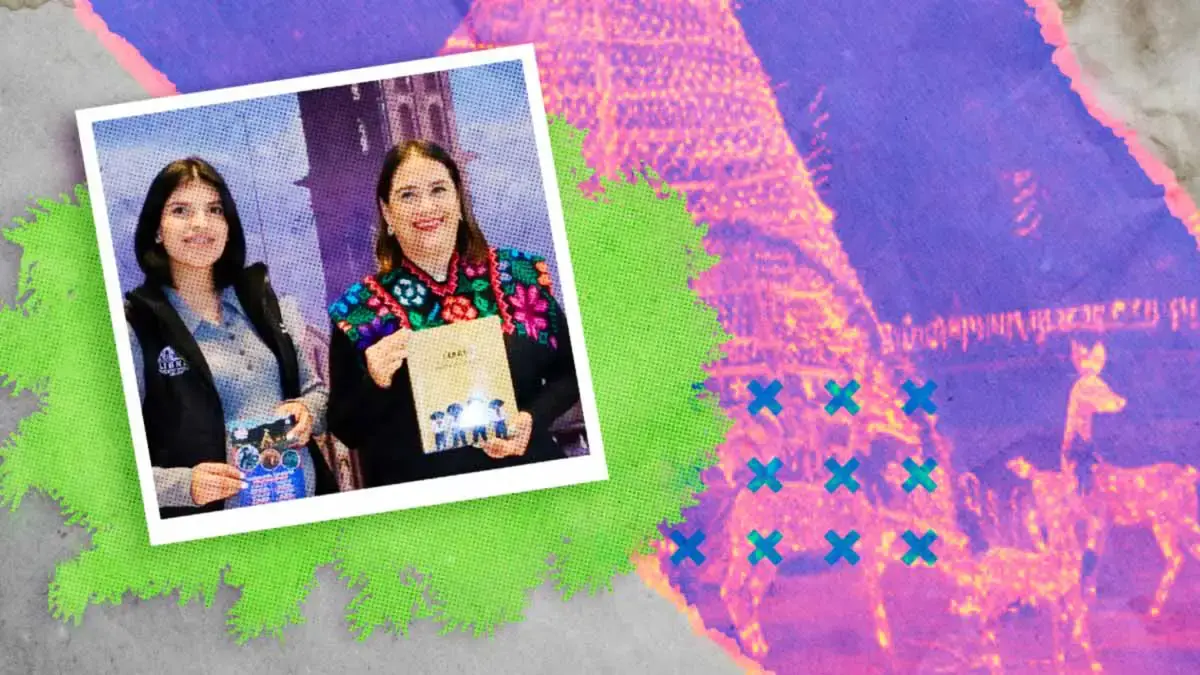 Celebra la Navidad en el “Festival de Luz y Tradición” del Ayuntamiento de Libres