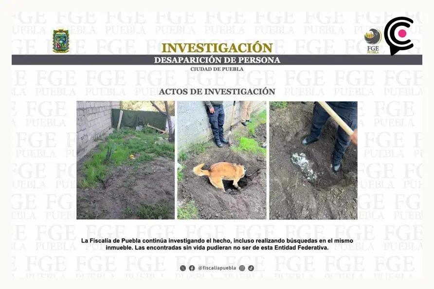 Cuerpos encontrados tras cateo a inmueble en San Antonio Abad, Puebla son de otros estados