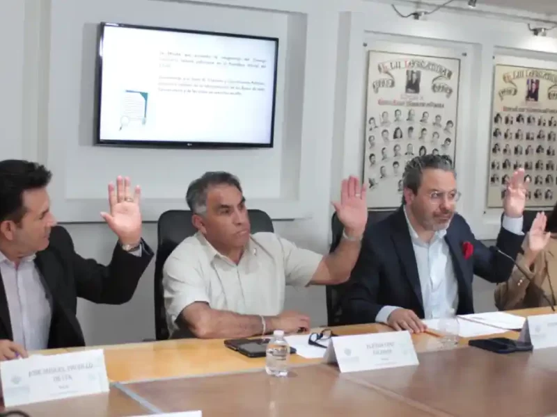 Aprueba Comisión convocatoria para la elección de integrantes del Consejo Consultivo de la CDH