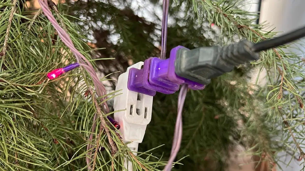 Emite Gobierno de la Ciudad recomendaciones para colocar el árbol de Navidad de manera segura