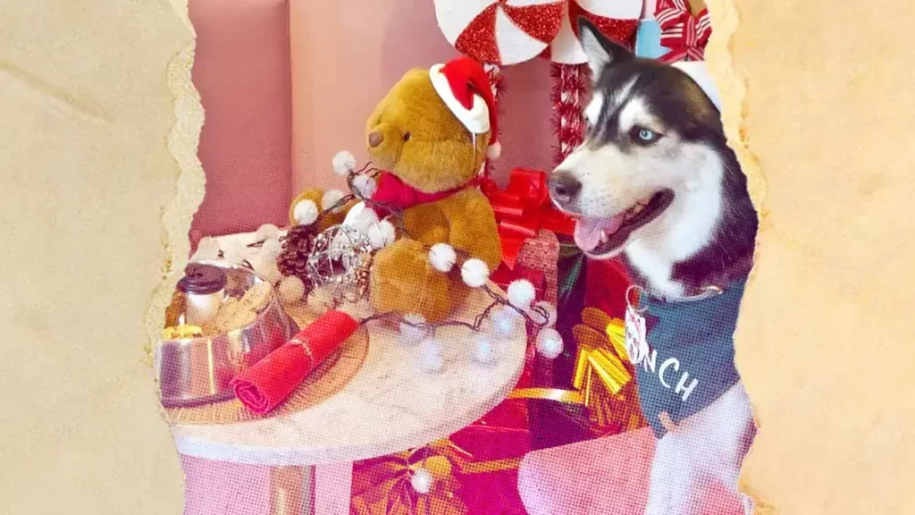 Cafetería para perros en Puebla “Anscakes” ofrece delicioso menú navideño