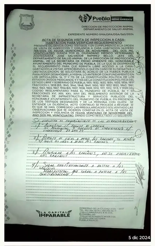 Vecinos de San Ramón amenazan a rescatista de perros, engañan al Ayuntamiento de Puebla para quitárselos