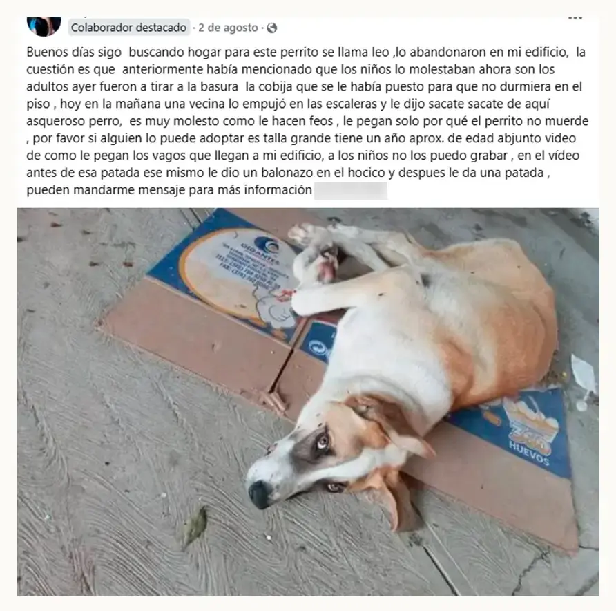 Vecinos de San Ramón amenazan a rescatista de perros, engañan al Ayuntamiento de Puebla para quitárselos