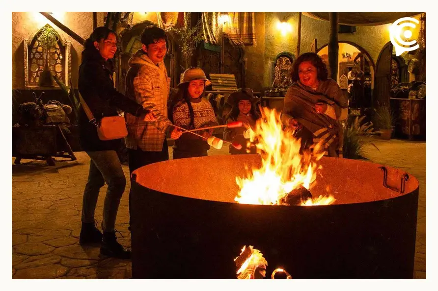 Africam Safari anuncia su recorrido nocturno por corta temporada; estos son los precios