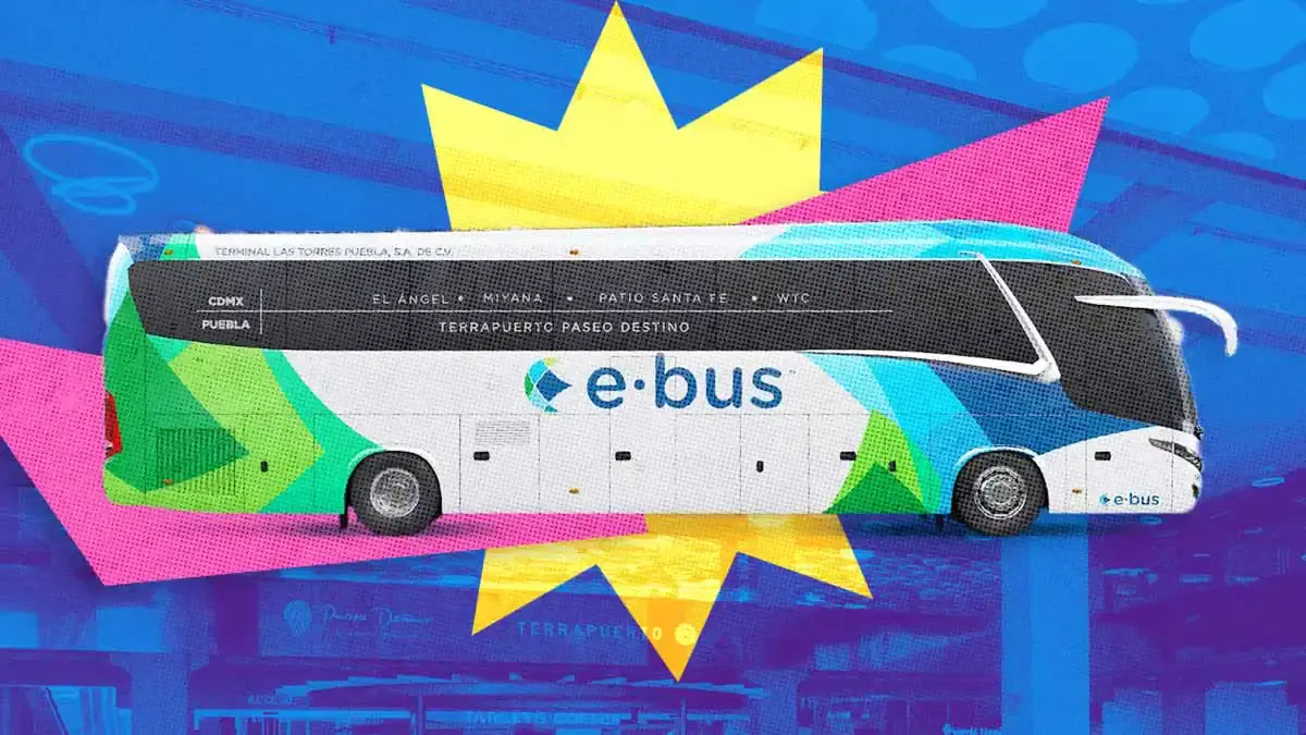 A partir de diciembre, Ebus estrena autobuses y oferta comercial